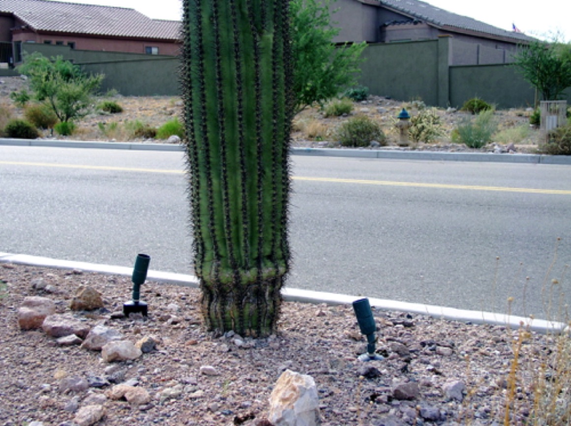 Arizona "Street Lights"