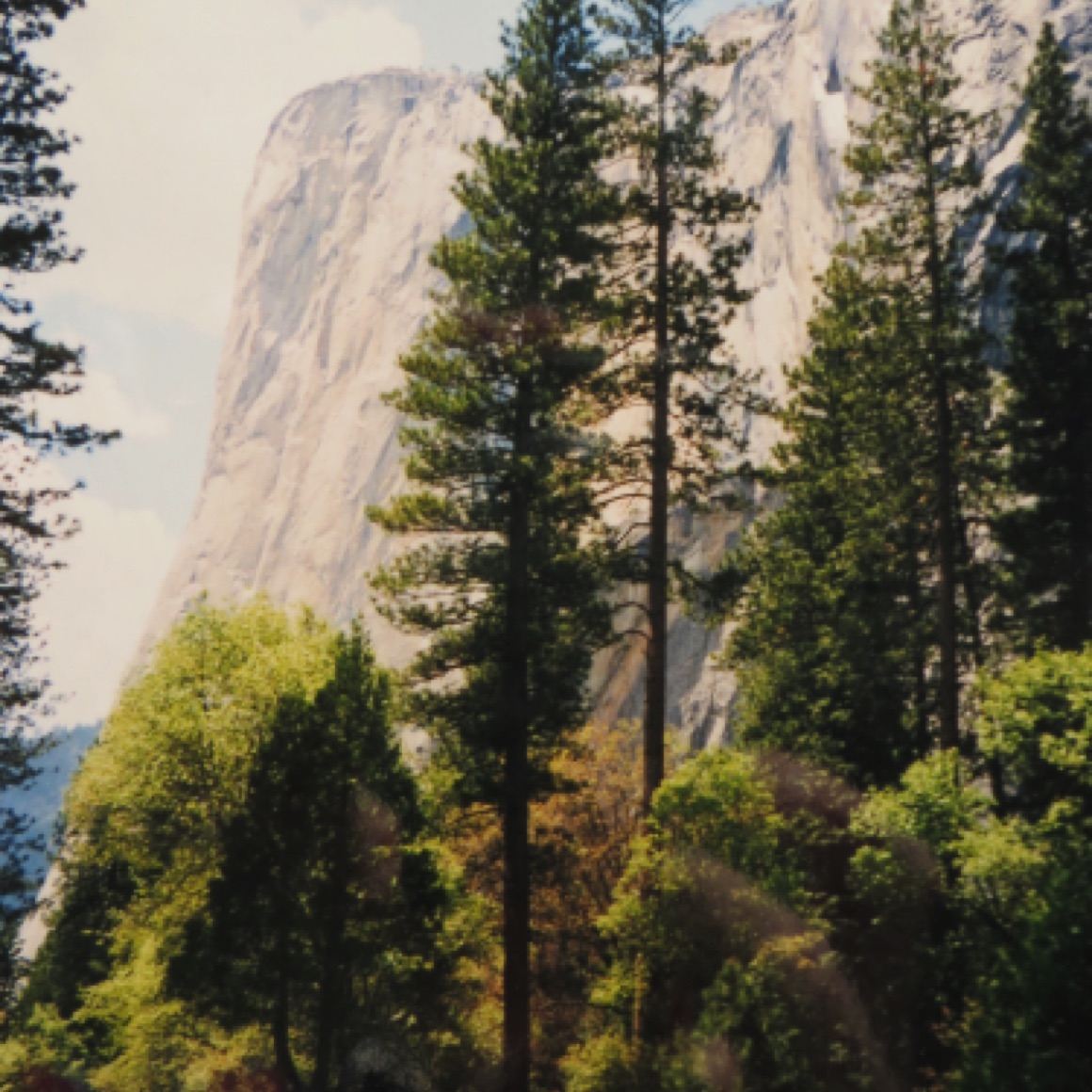 Yosemite National Park