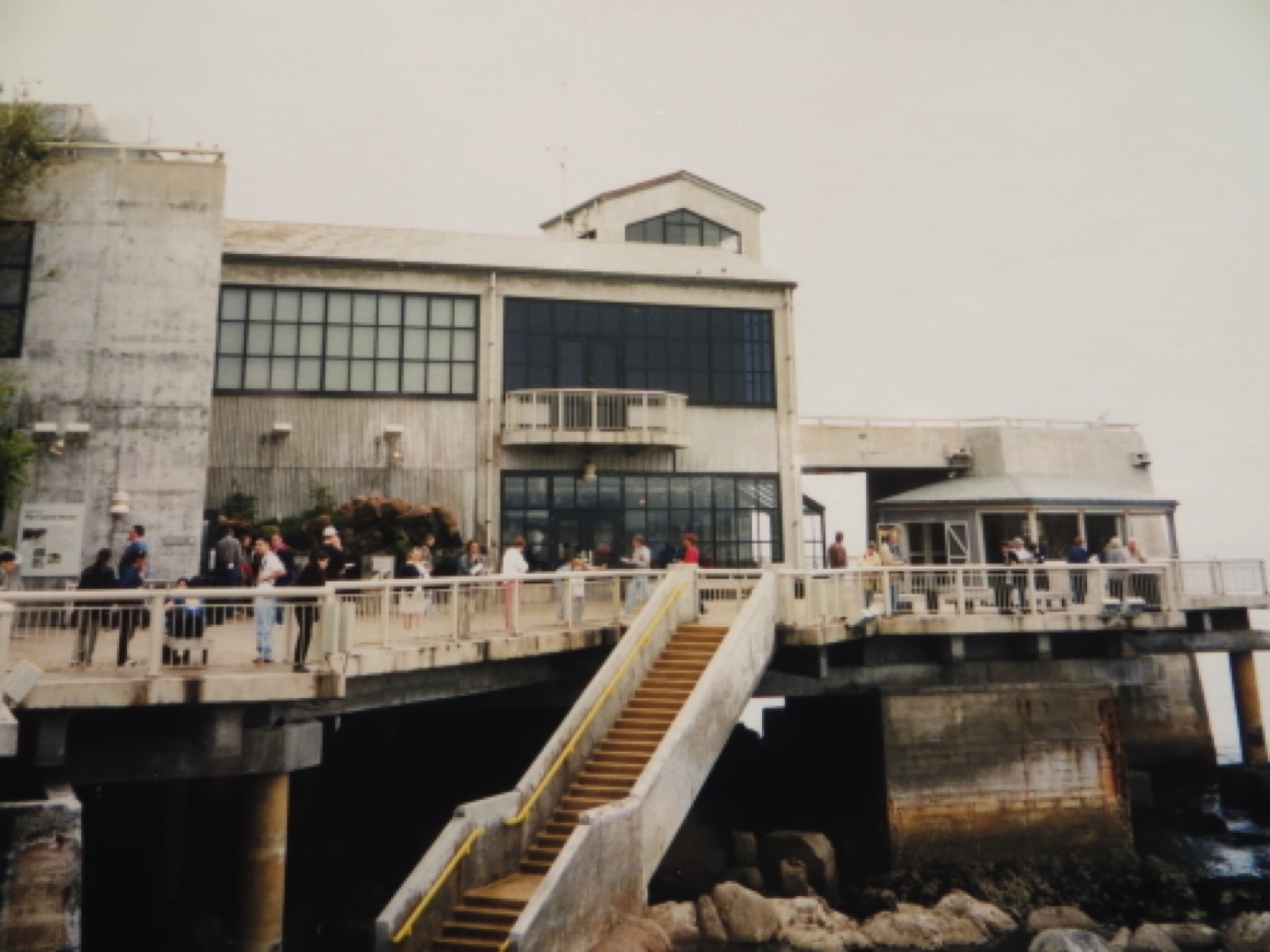 Monterey Bay Aquarium